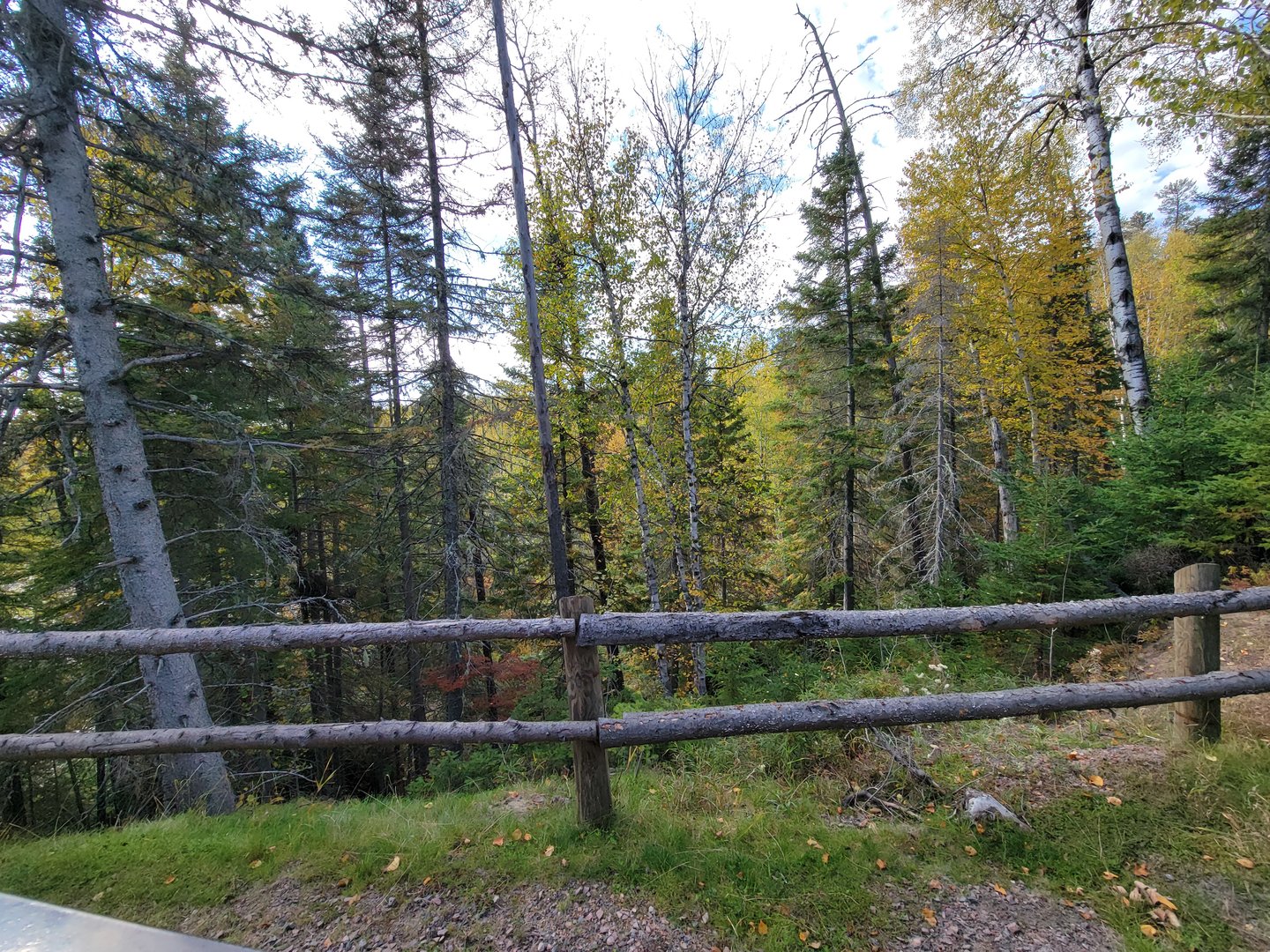 Zoo Sauvage 10/22 - Train, scenery