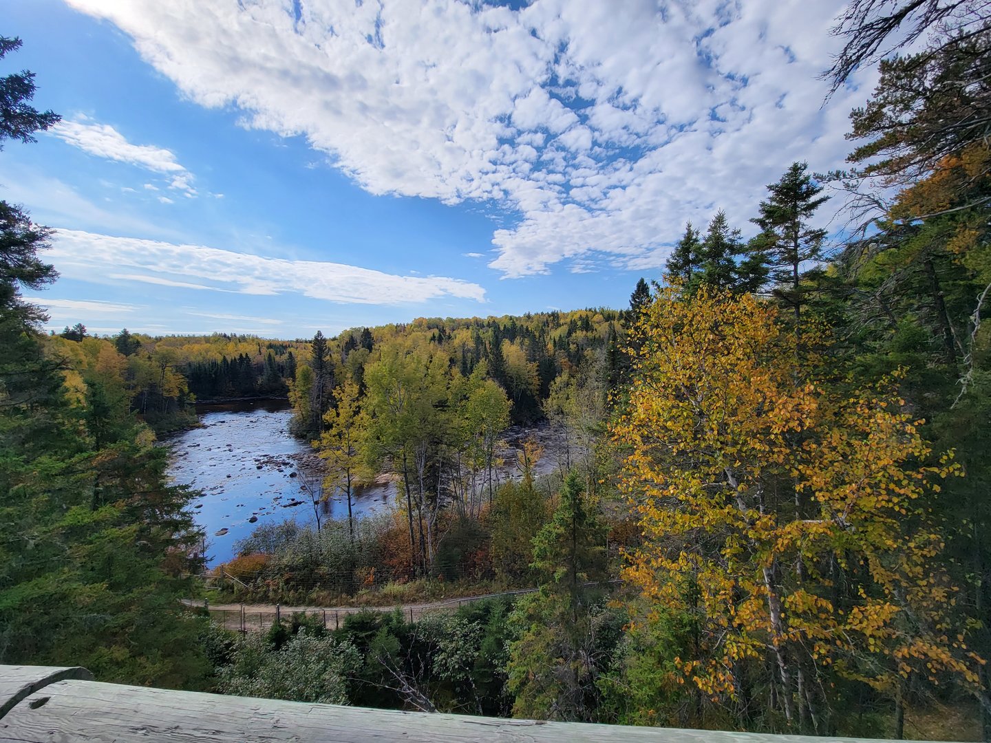 Zoo Sauvage 10/22 - Train, scenery