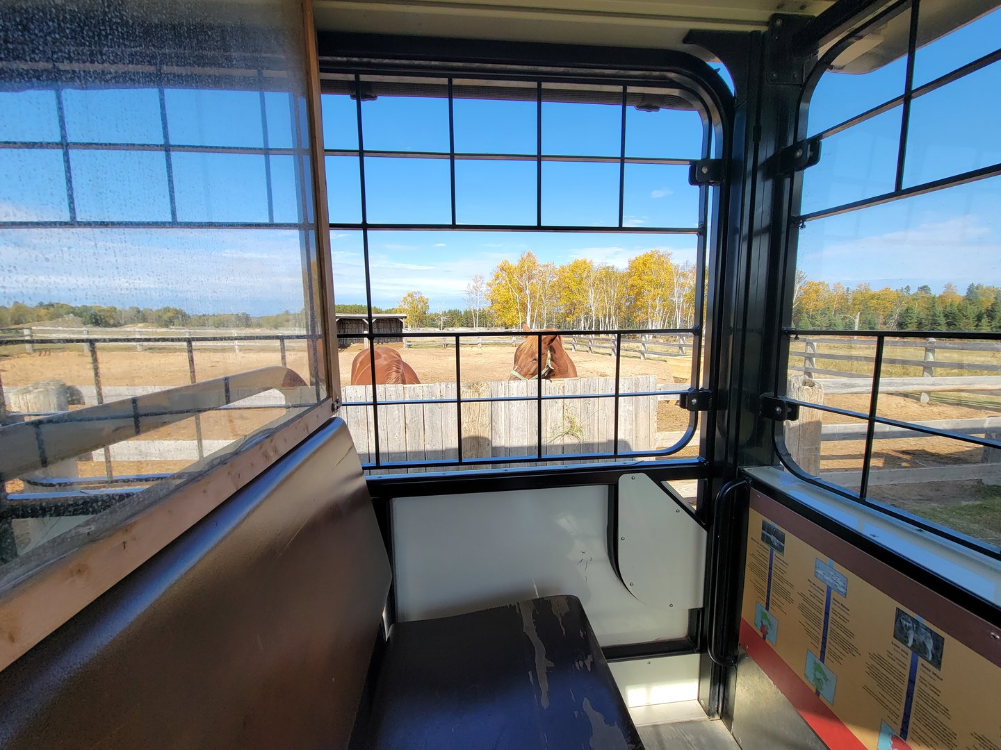 Zoo Sauvage 10/22 - Train, settlement #5 horses