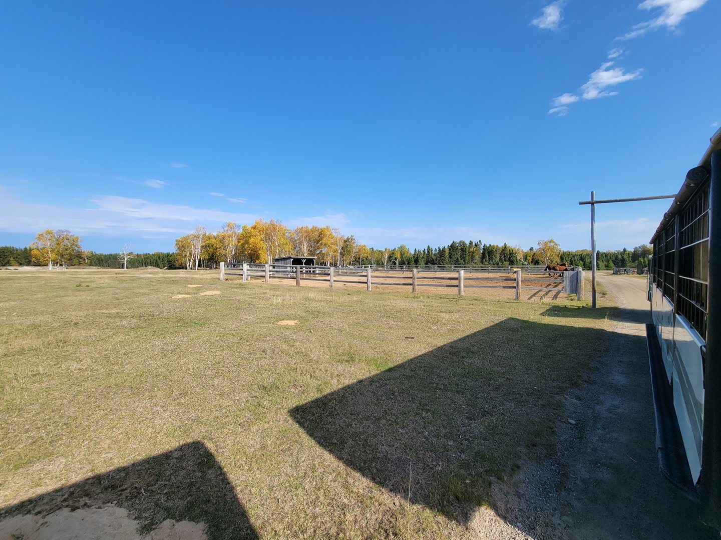 Zoo Sauvage 10/22 - Train, settlement #5