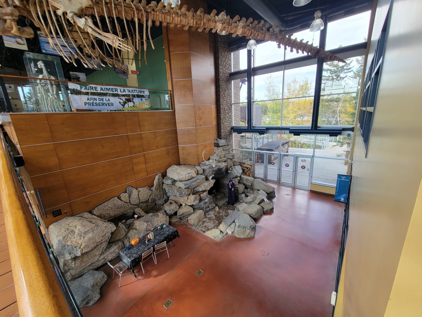 Zoo Sauvage 10/22 -  Visitor Centre, odd area of first floor