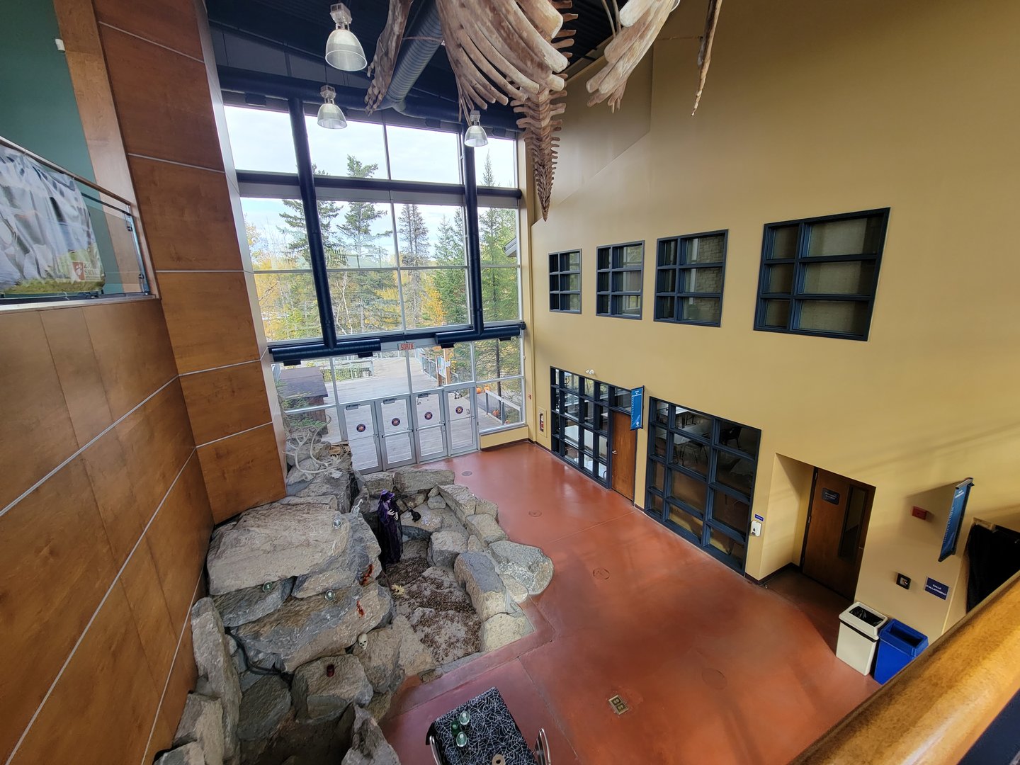 Zoo Sauvage 10/22 -  Visitor Centre, odd area of first floor