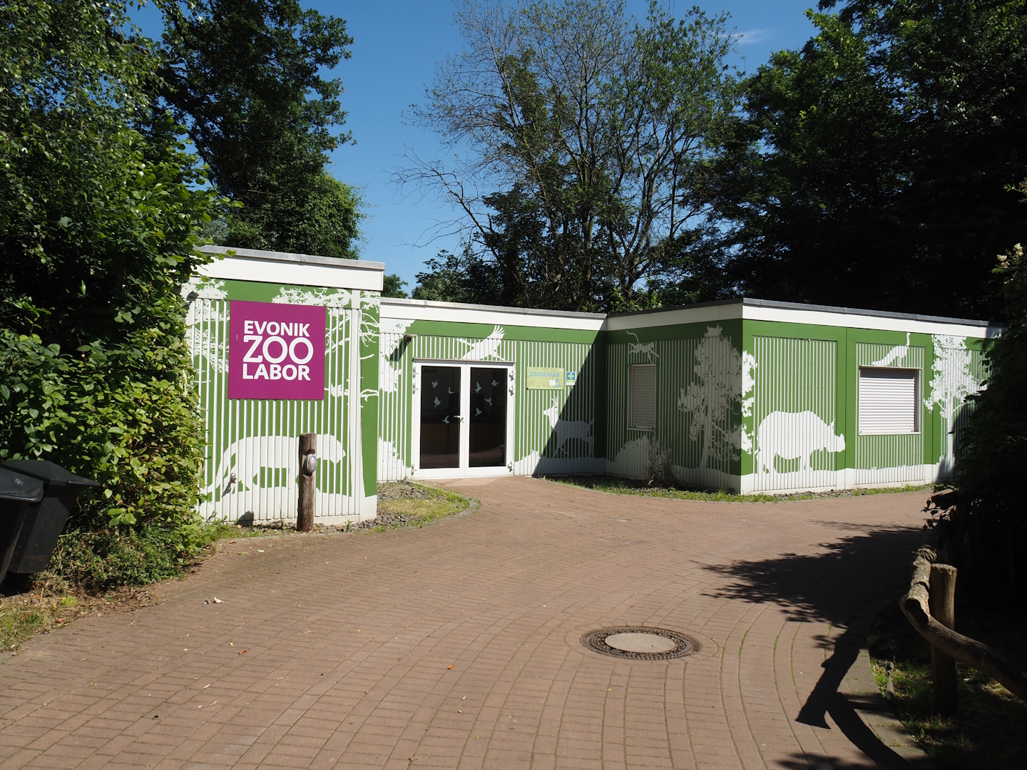 Zoo school, 2024-06-08