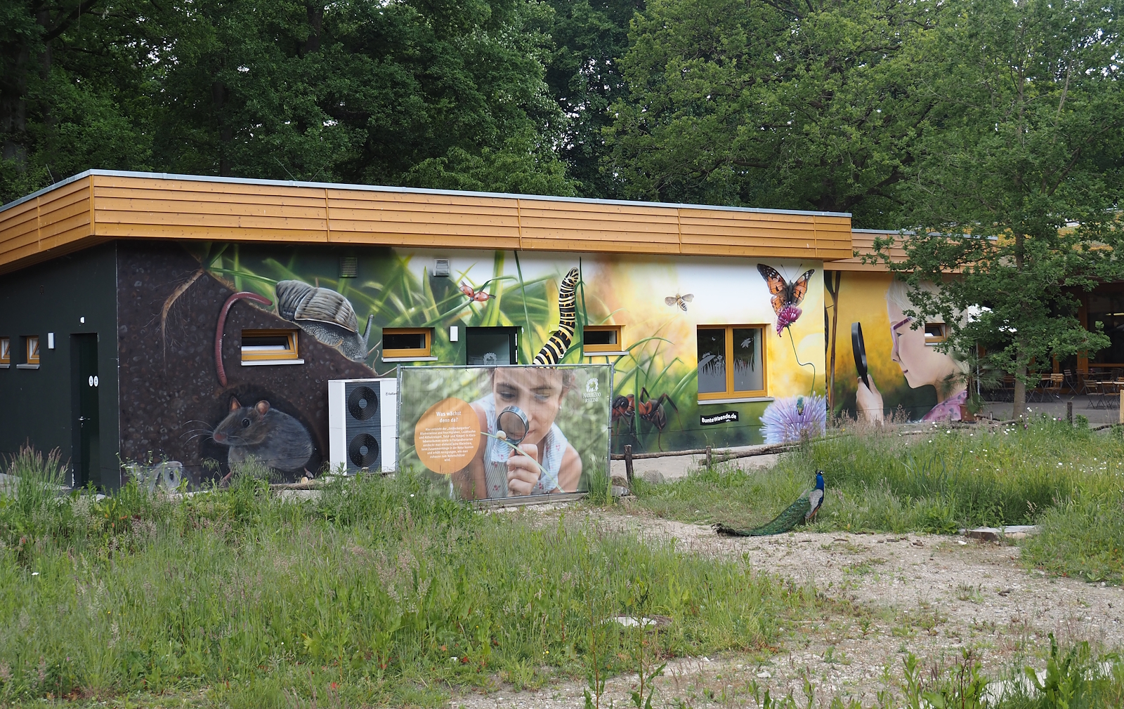 Zoo School with beautiful murals, 2025-05-22