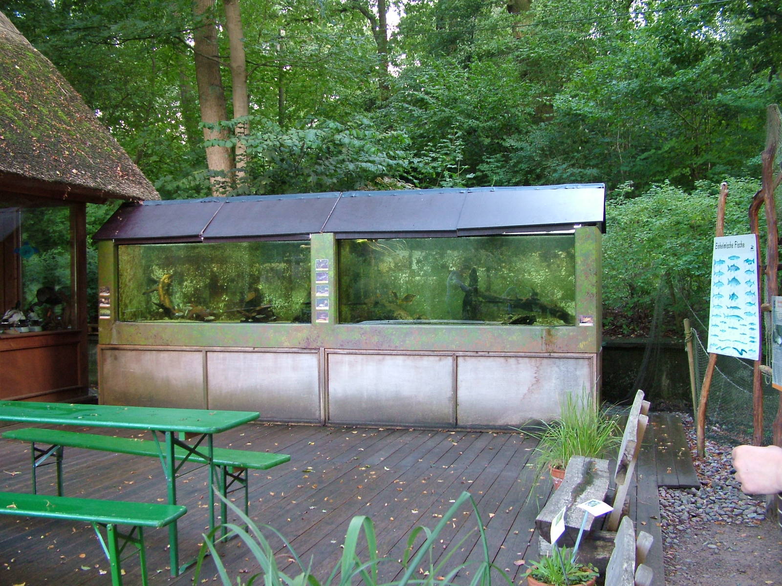 Zoo Schwerin - European freshwater fish aquariums