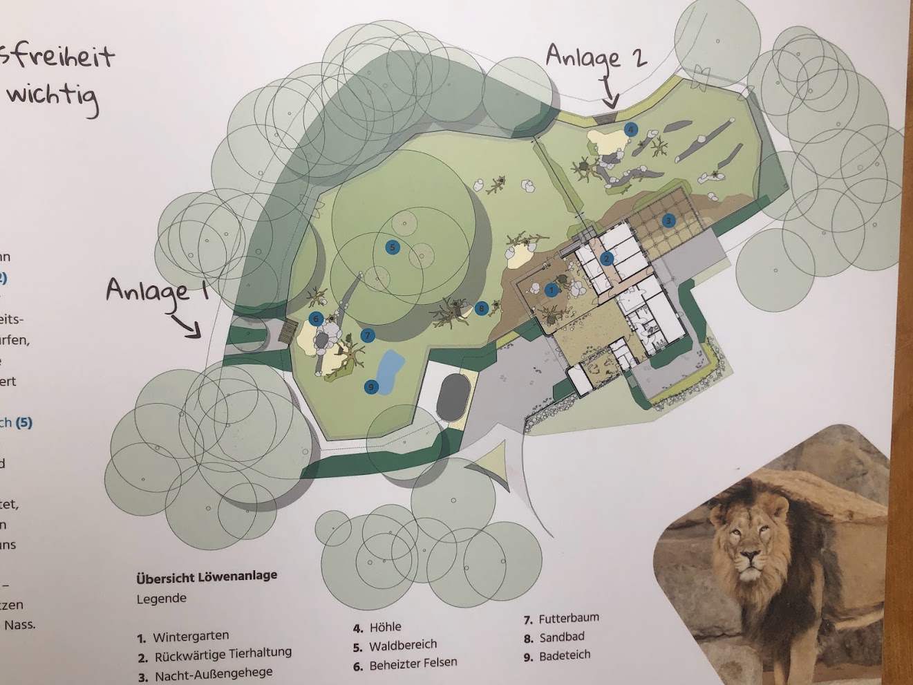Zoo Schwerin- lion enclosure layout- 2021
