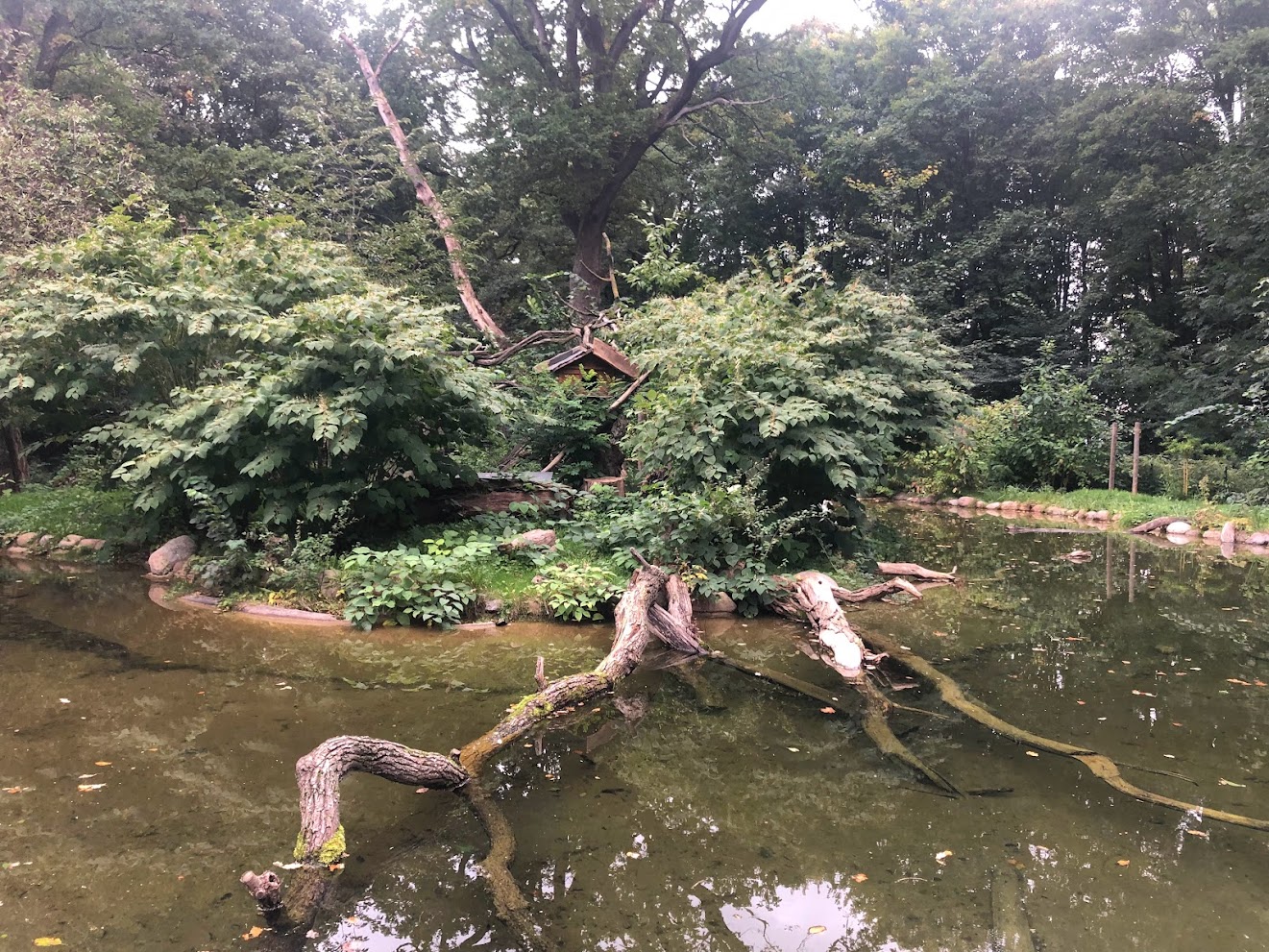 Zoo Schwerin- otter and red panda enclosure- 2021