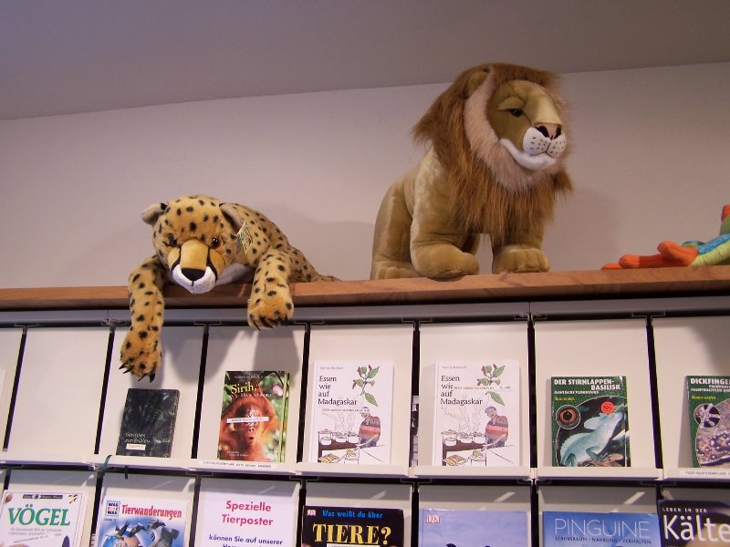 zoo shop 1
