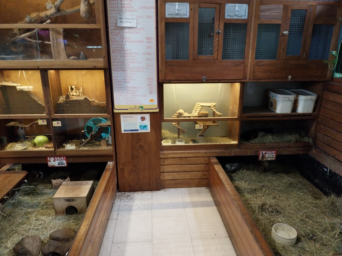 Zoo Sierakowice - Litte Owl and rodents