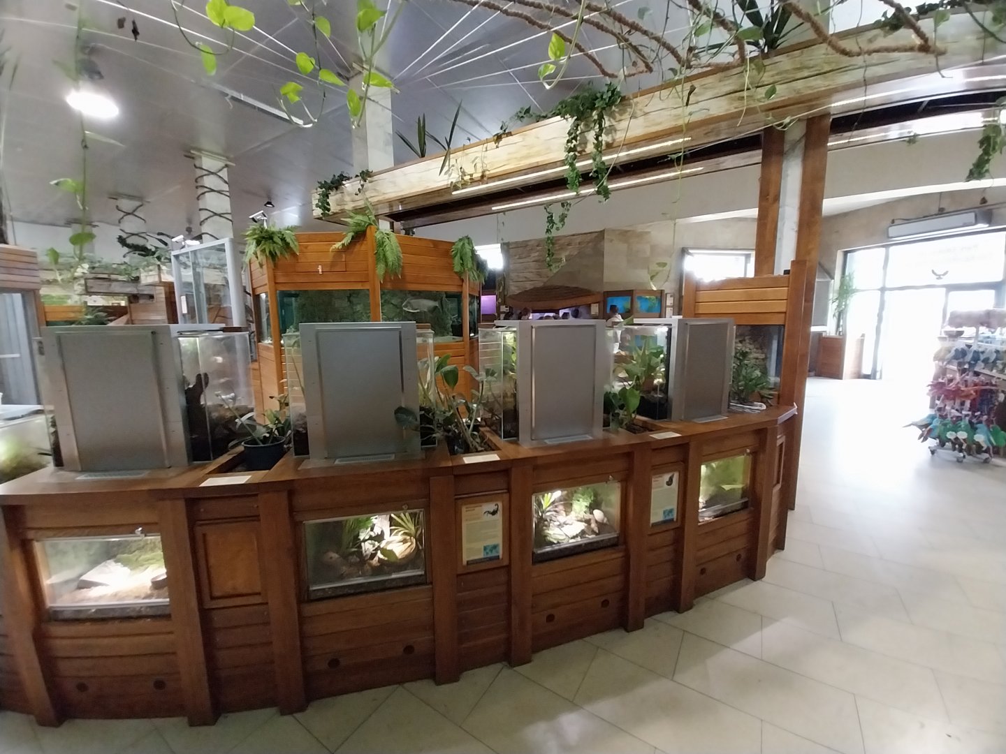 Zoo Sierakowice - Tarantulas