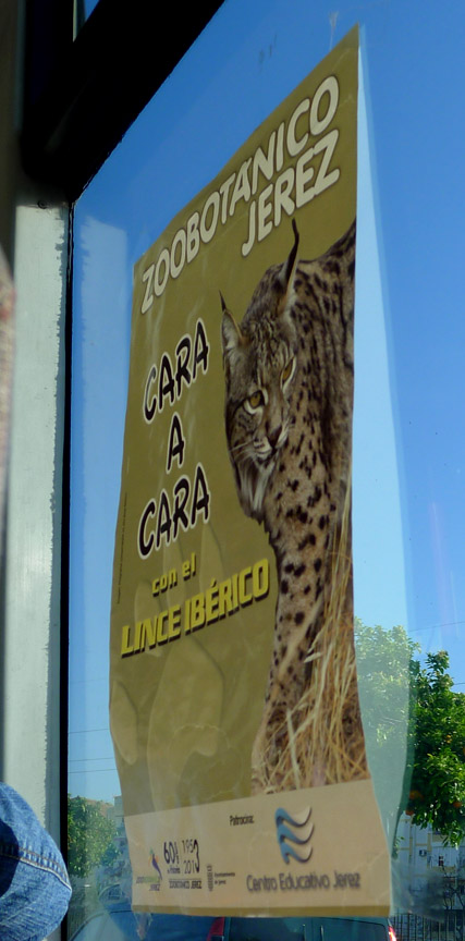 zoo sign on city bus