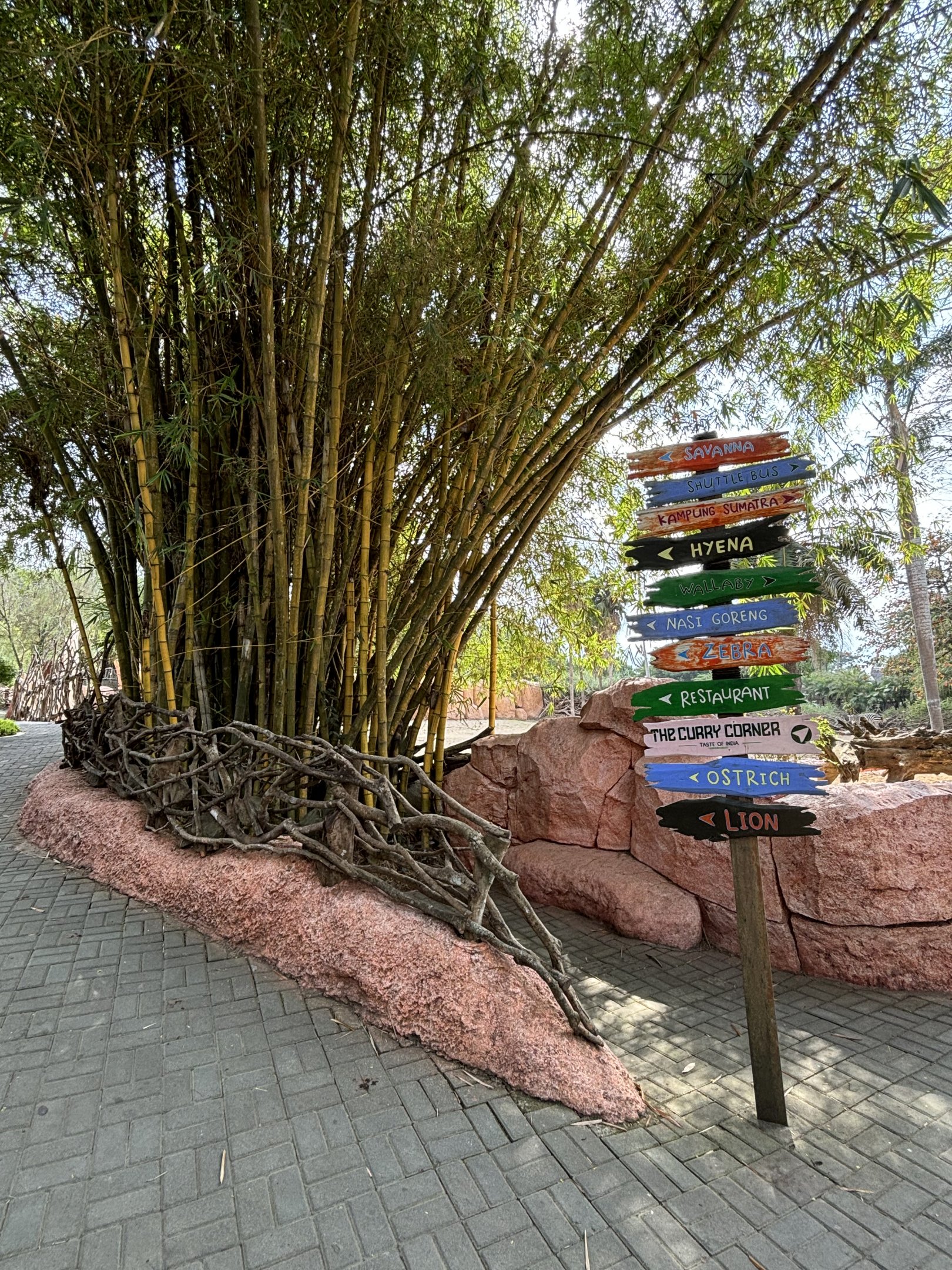 Zoo Signs + Bamboo Grove