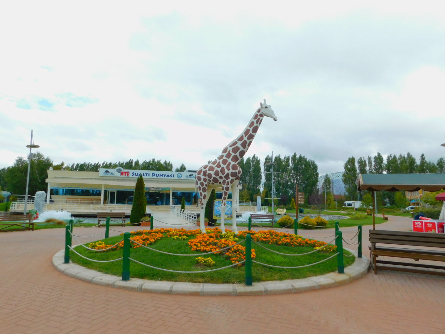 Zoo Square Across the Enterance