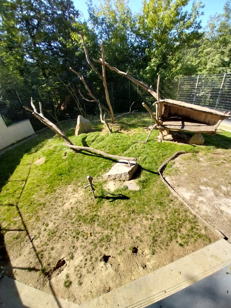 Zoo Stadt Haag - Barbary macaque enclosure