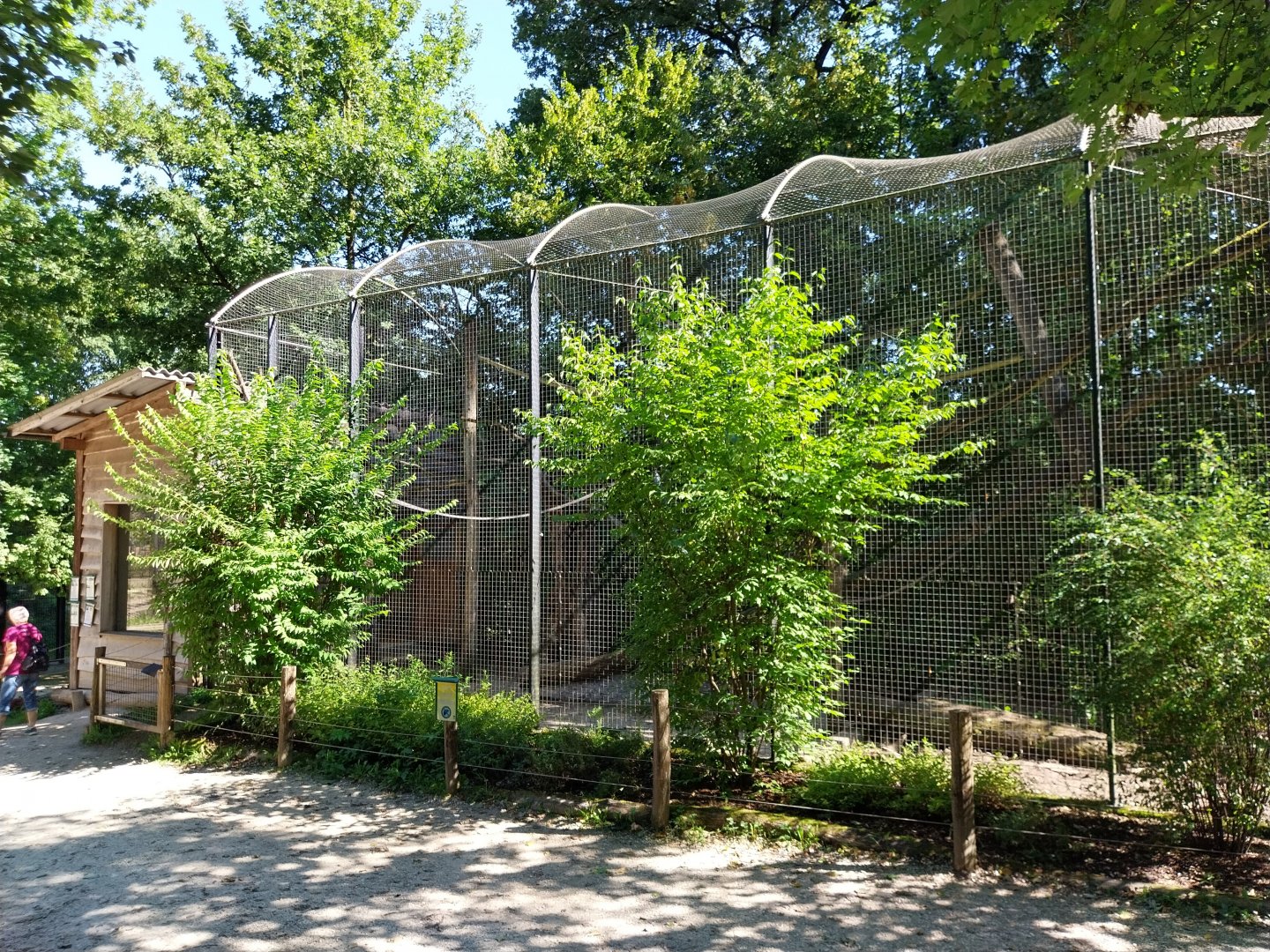 Zoo Stadt Haag - Brown-nosed coati enclosure