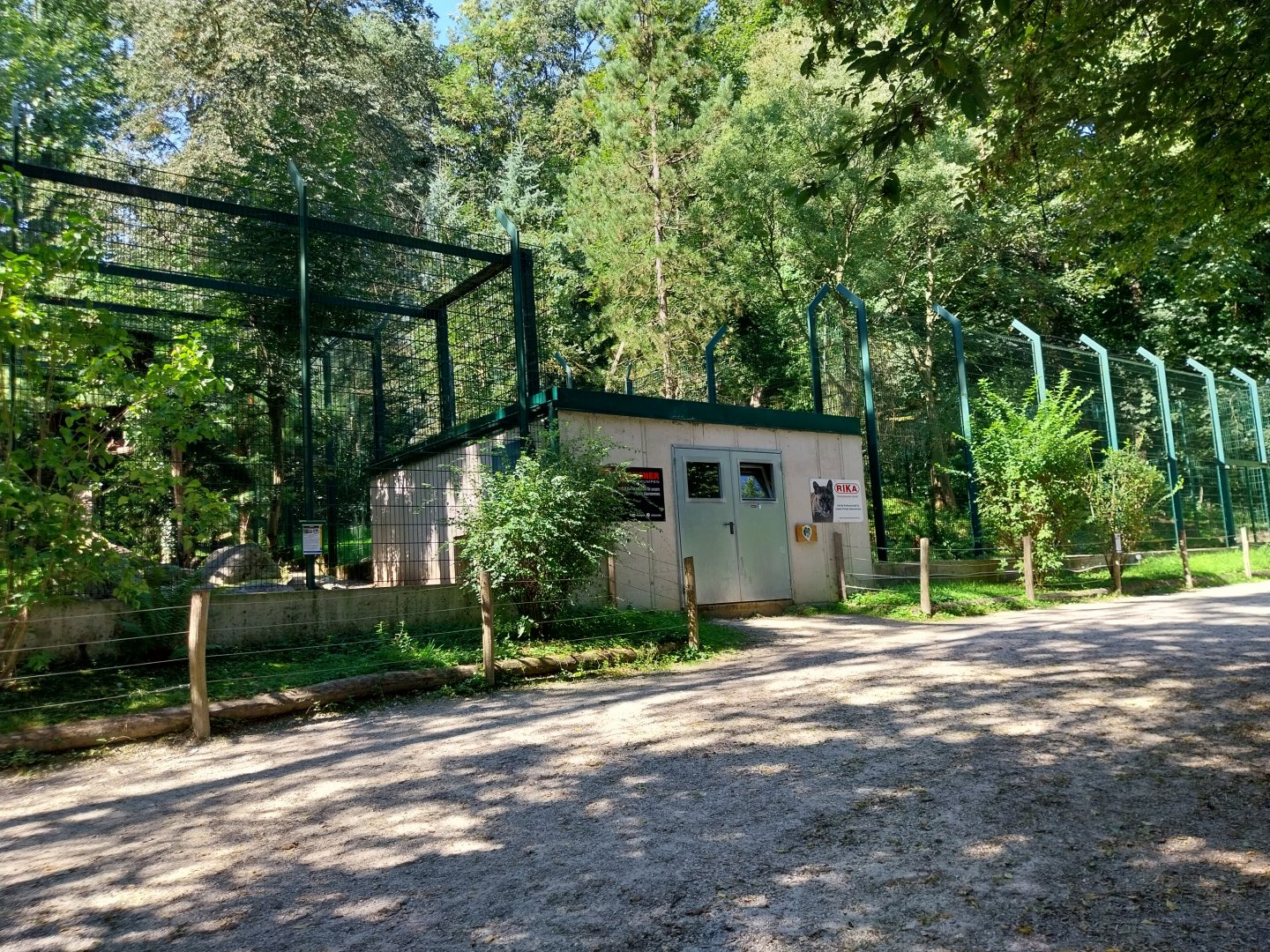 Zoo Stadt Haag - Cougar complex