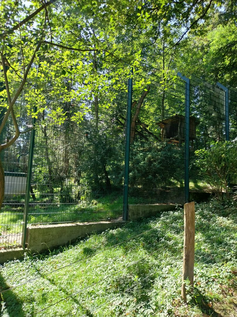 Zoo Stadt Haag - Cougar second enclosure