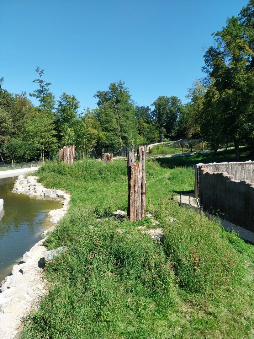 Zoo Stadt Haag - European brown bear & Eurasian wolf enclosure