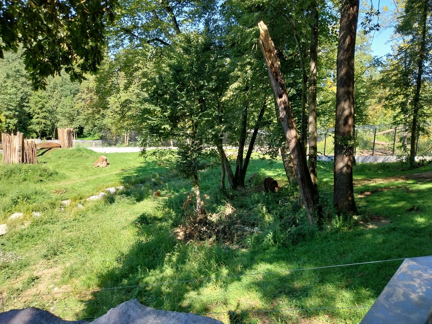 Zoo Stadt Haag - European brown bear & Eurasian wolf enclosure
