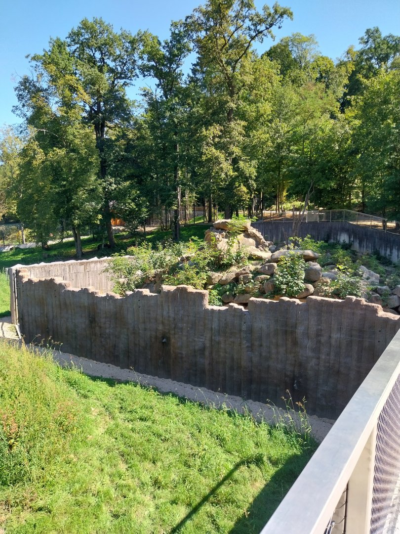 Zoo Stadt Haag - European brown bear & Eurasian wolf - Former bear pit