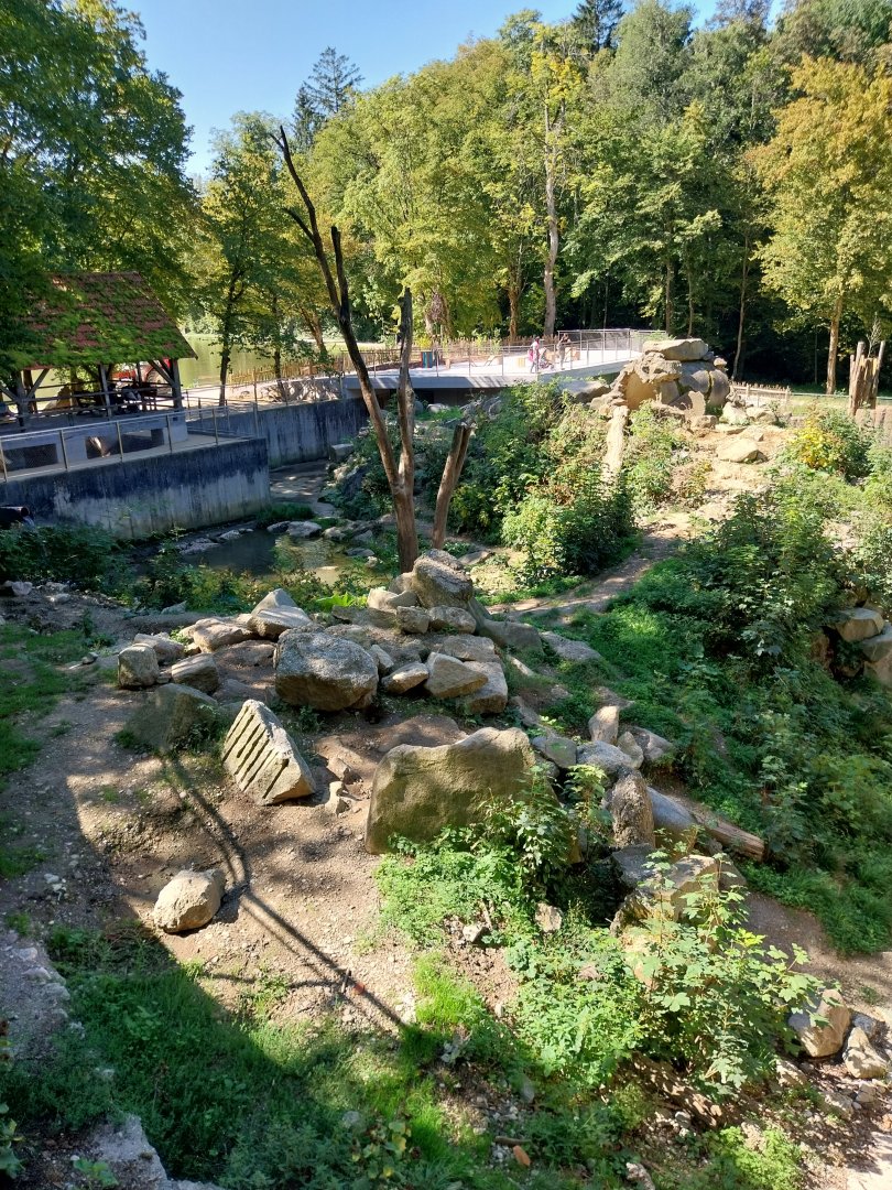Zoo Stadt Haag - European brown bear & Eurasian wolf - Former bear pit