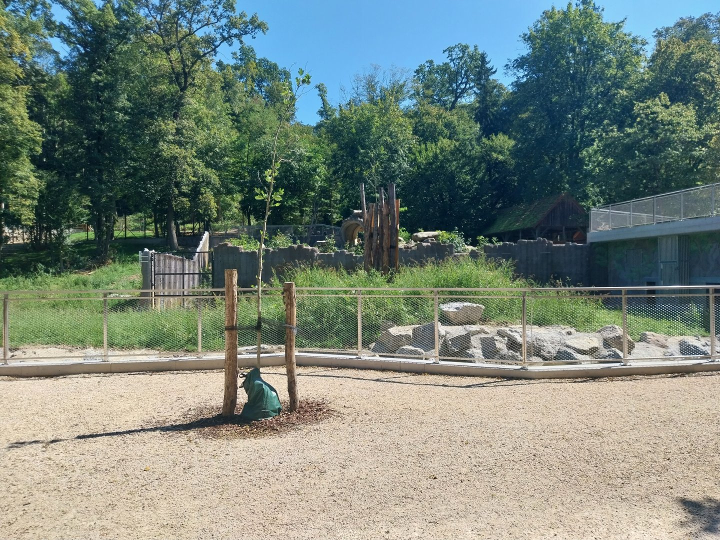 Zoo Stadt Haag - European brown bear & Eurasian wolf - New bear house and viewing point - Former bear pit in the background