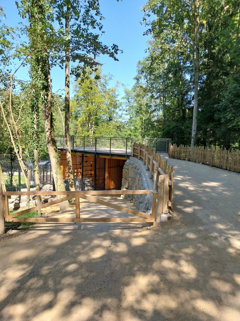 Zoo Stadt Haag - European brown bear & Eurasian wolf - New bear house and viewing point