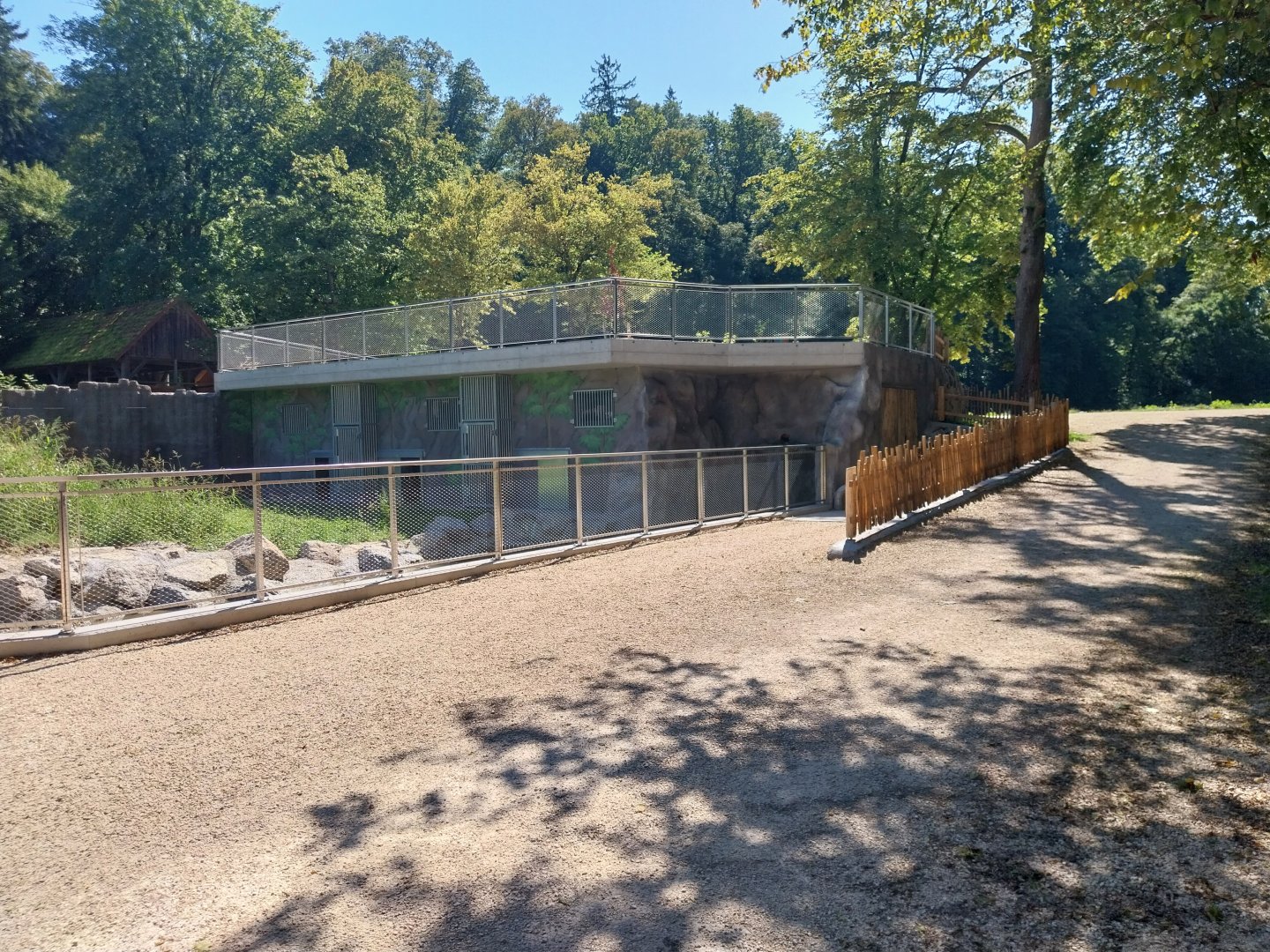 Zoo Stadt Haag - European brown bear & Eurasian wolf - New bear house and viewing point