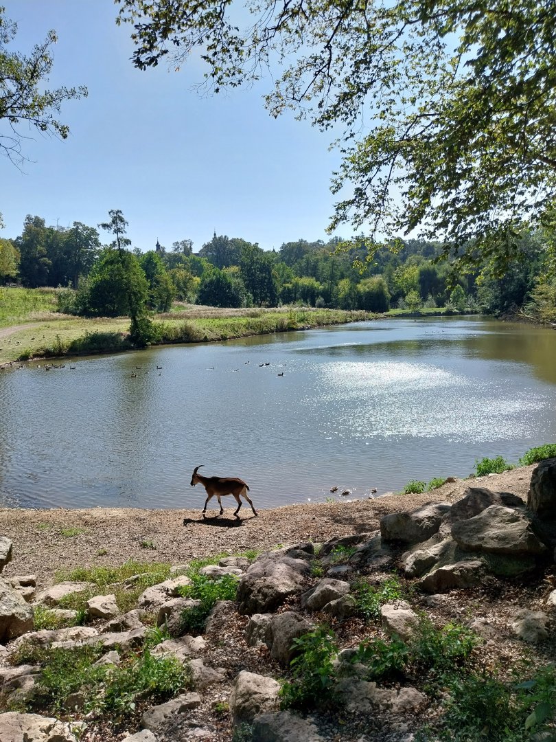Zoo Stadt Haag - General view
