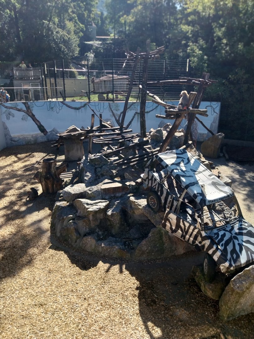 Zoo Stadt Haag - Hamadryas baboon enclosure