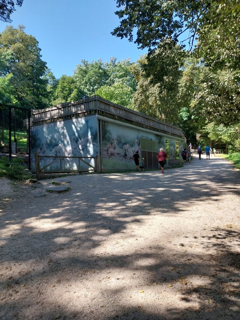 Zoo Stadt Haag - Lion house
