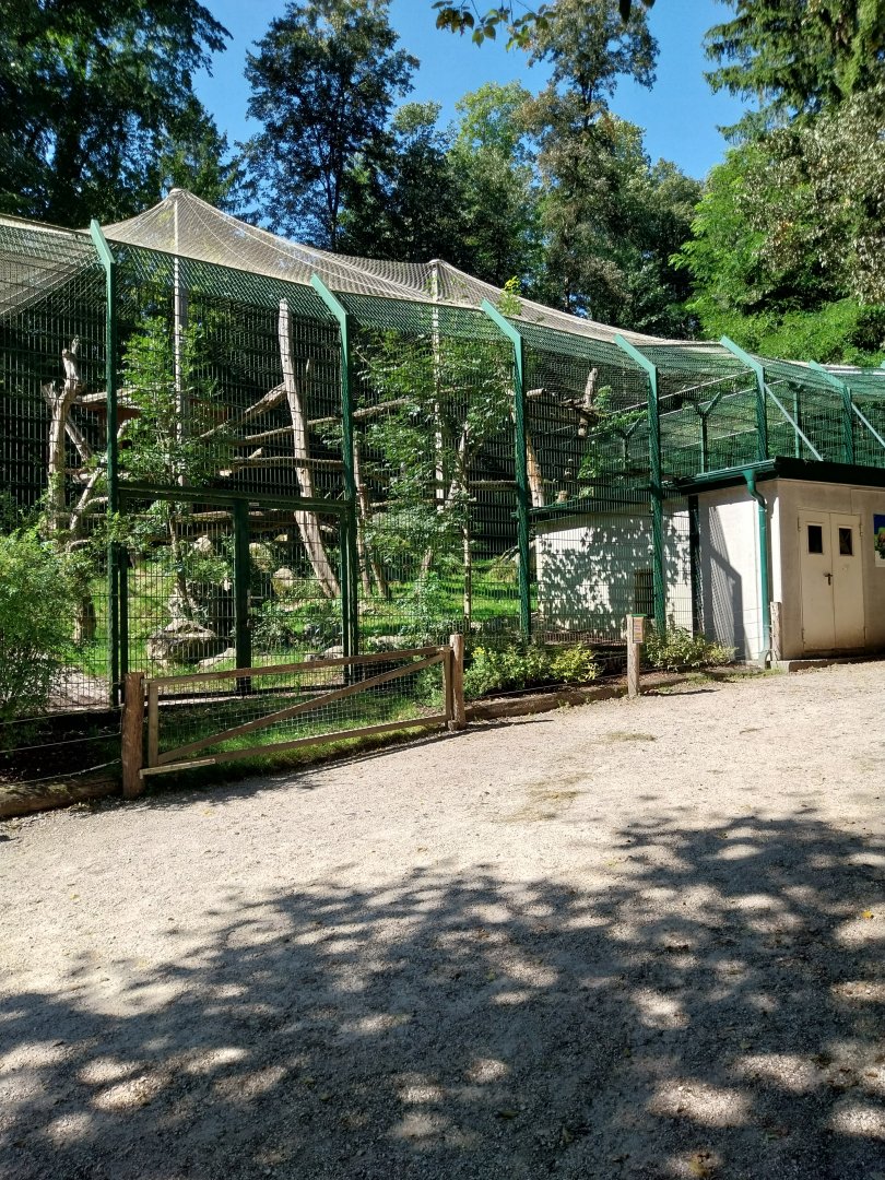 Zoo Stadt Haag - North Chinese leopard - Main enclosure
