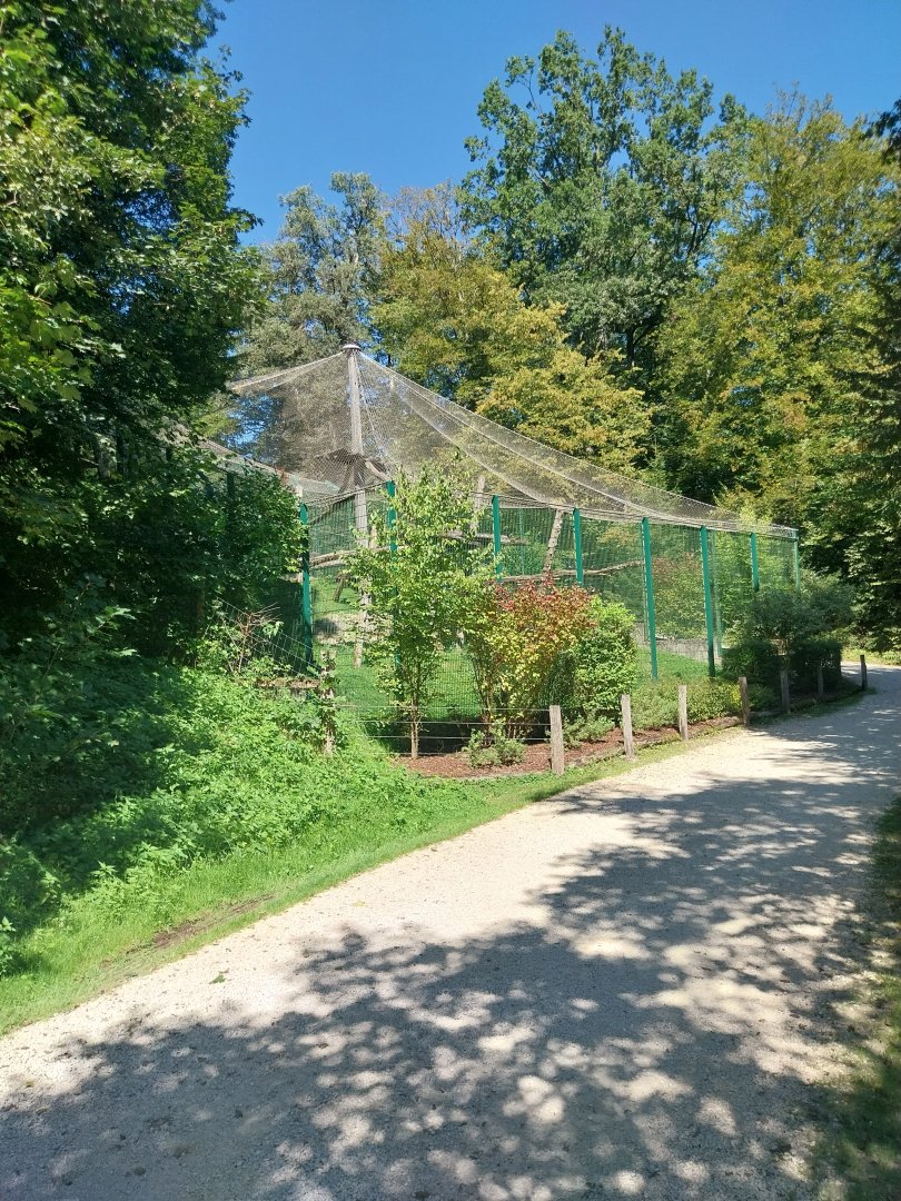 Zoo Stadt Haag - North Chinese leopard main enclosure