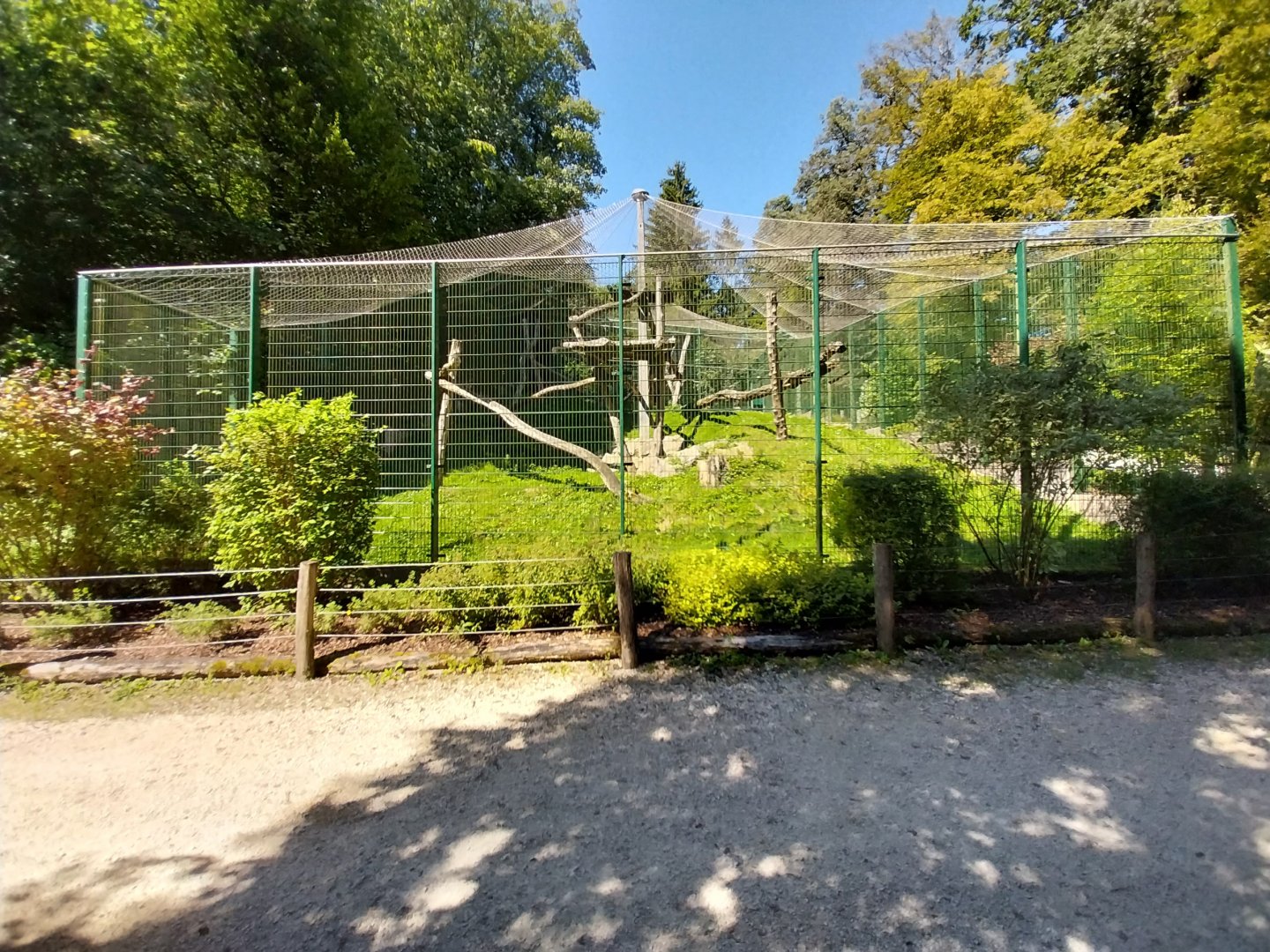 Zoo Stadt Haag - North Chinese leopard main enclosure