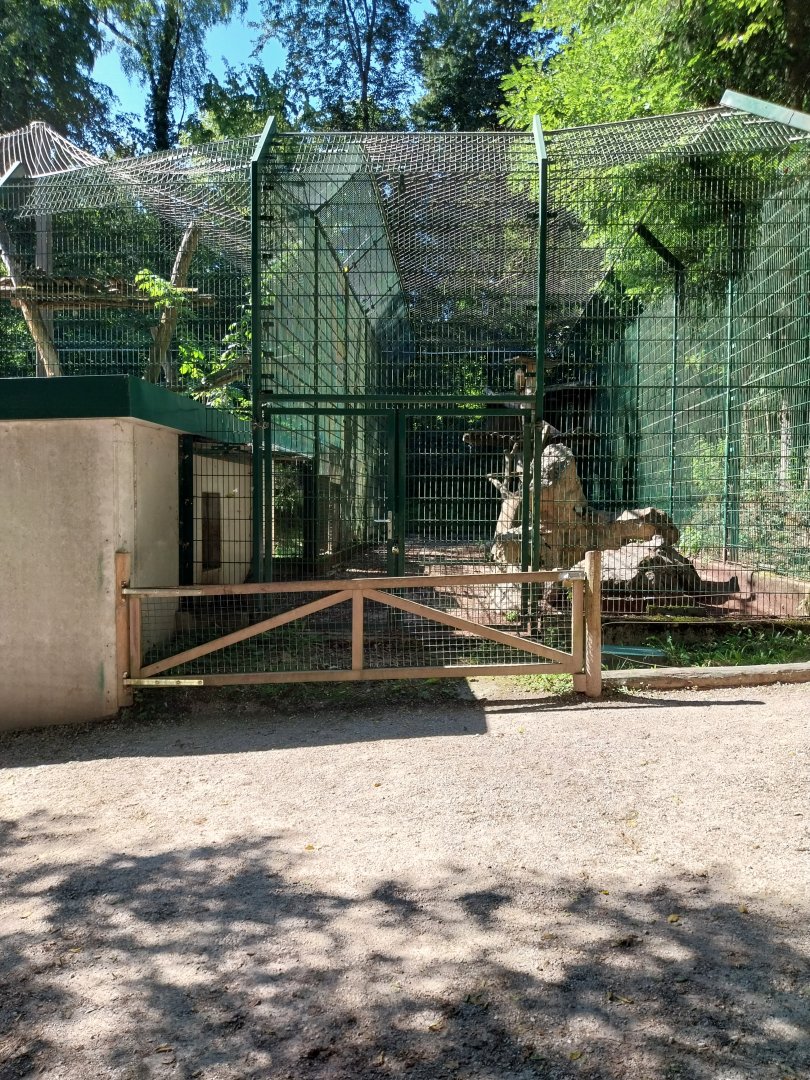 Zoo Stadt Haag - North Chinese leopard second and third enclosure