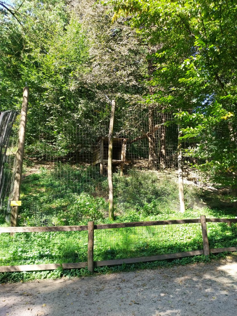 Zoo Stadt Haag - Northern lynx enclosure