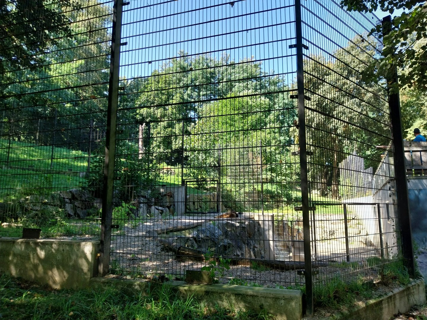 Zoo Stadt Haag - Southwest African lion - seclusion enclosure