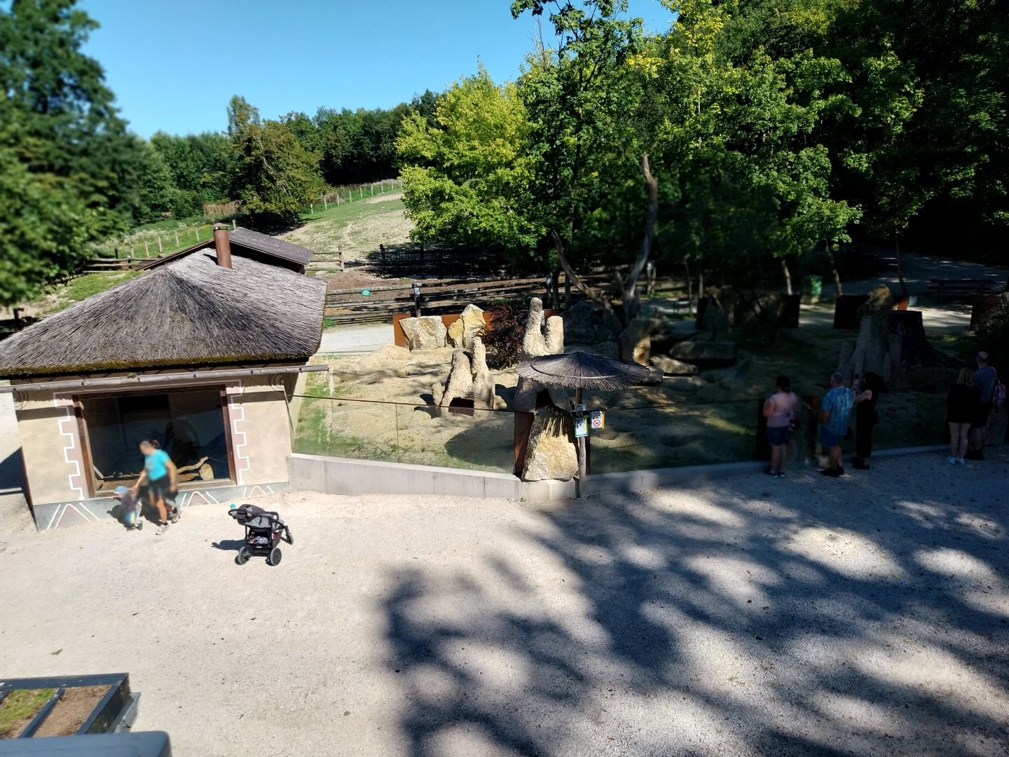 Zoo Stadt Haag - Suricate enclosure