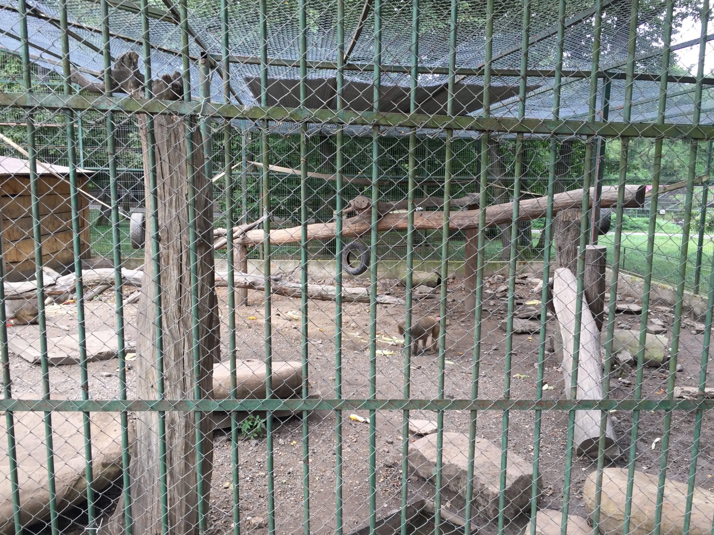 Zoo Târgu-Mures 27.08.2021.