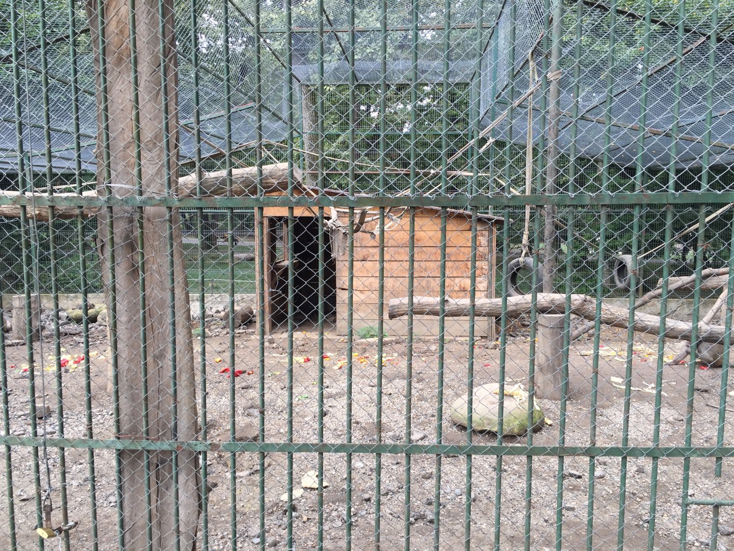 Zoo Târgu-Mures 27.08.2021.