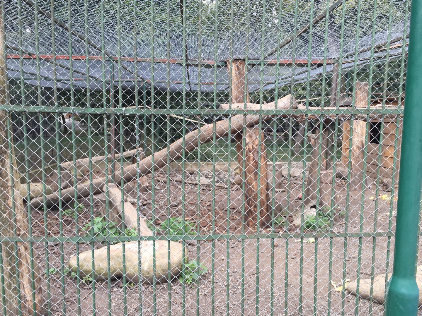 Zoo Târgu-Mures 27.08.2021.