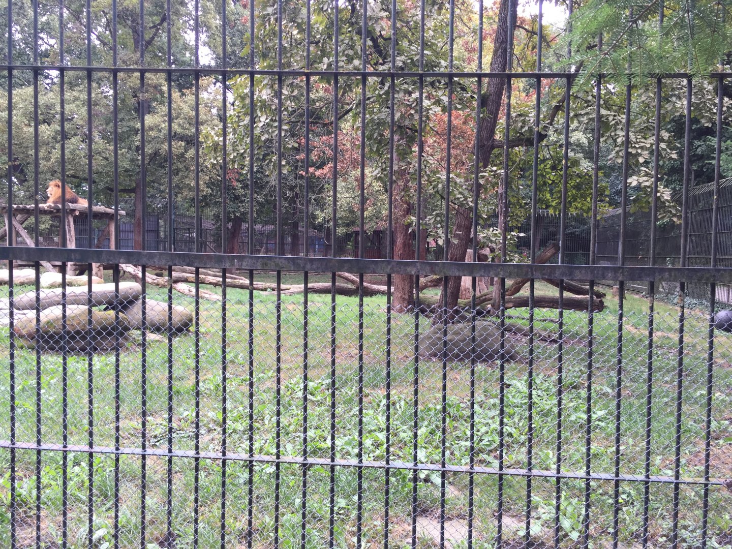 Zoo Târgu-Mures 27.08.2021.