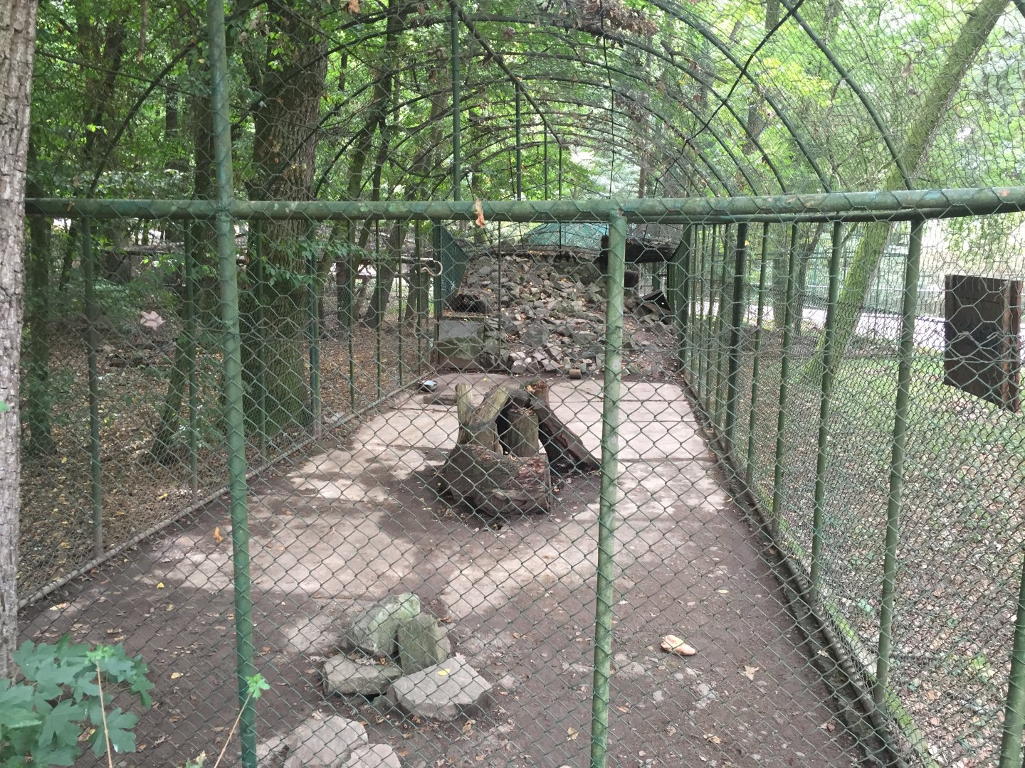 Zoo Târgu-Mures 27.08.2021.