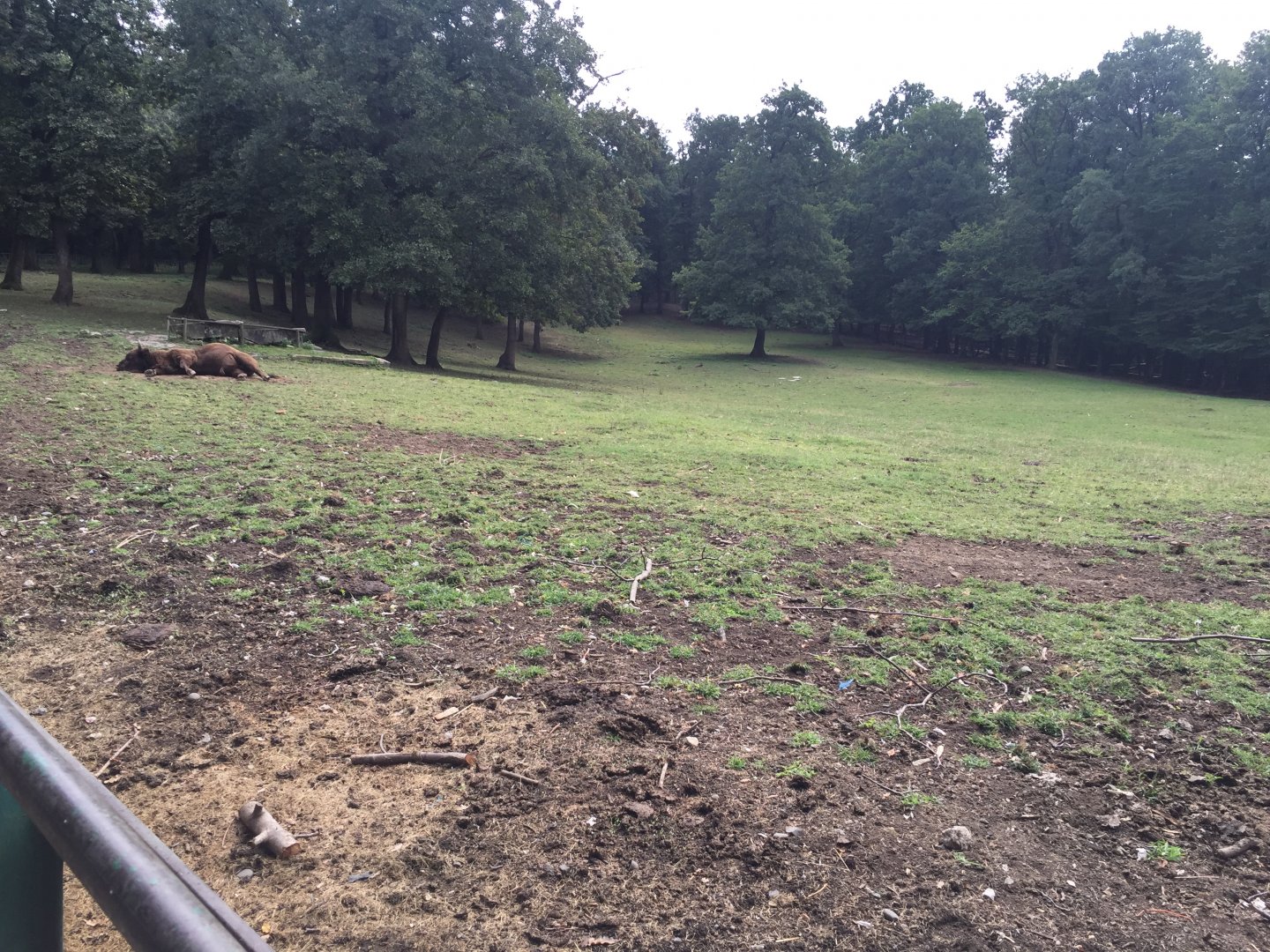 Zoo Târgu-Mures 27.08.2021.