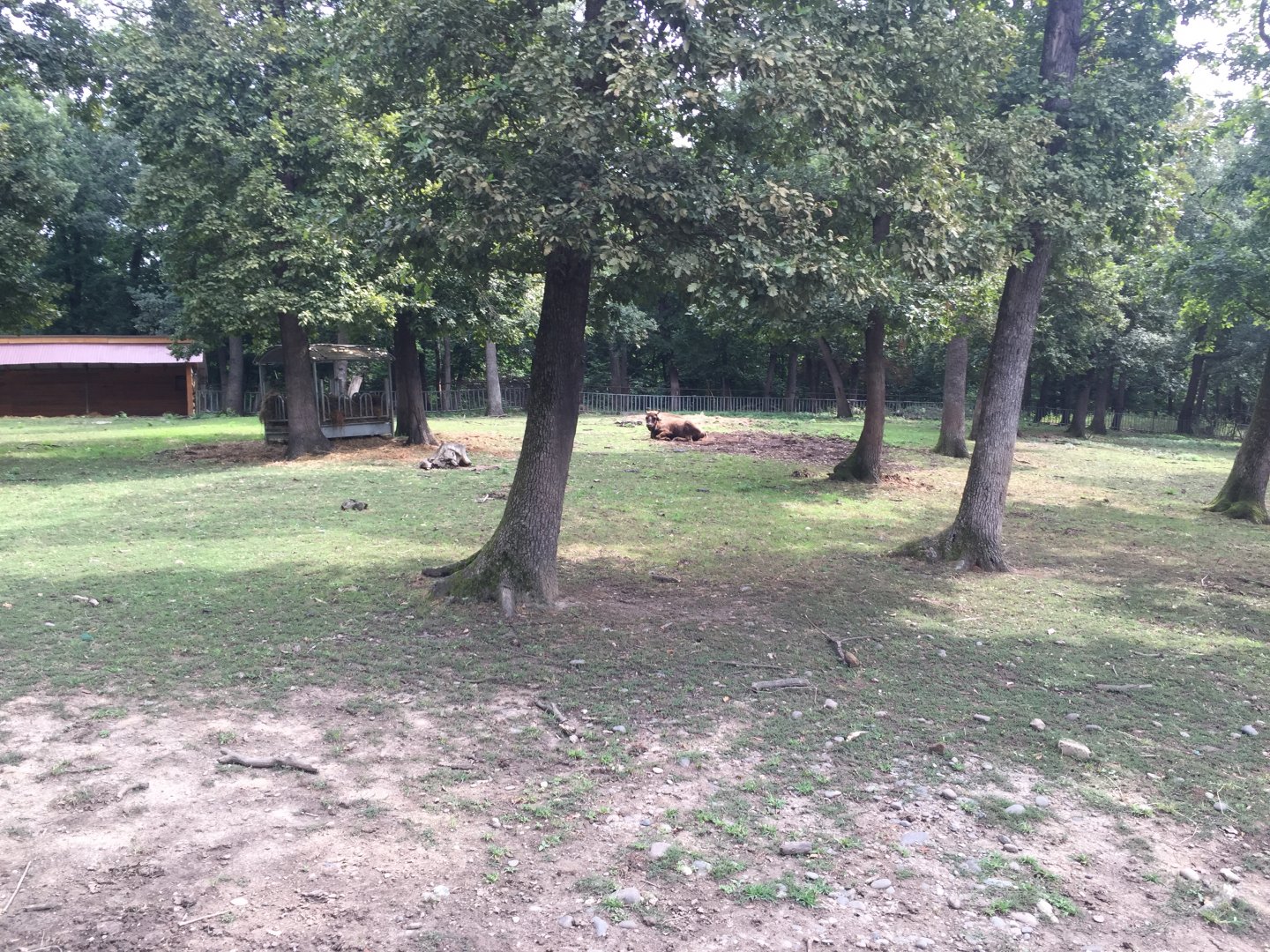 Zoo Târgu-Mures 27.08.2021.