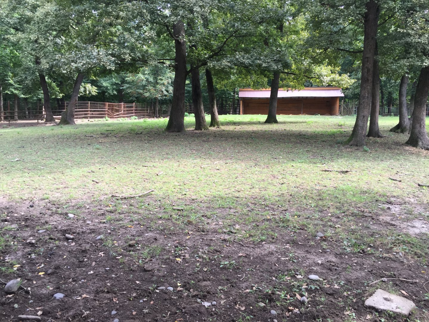 Zoo Târgu-Mures 27.08.2021.