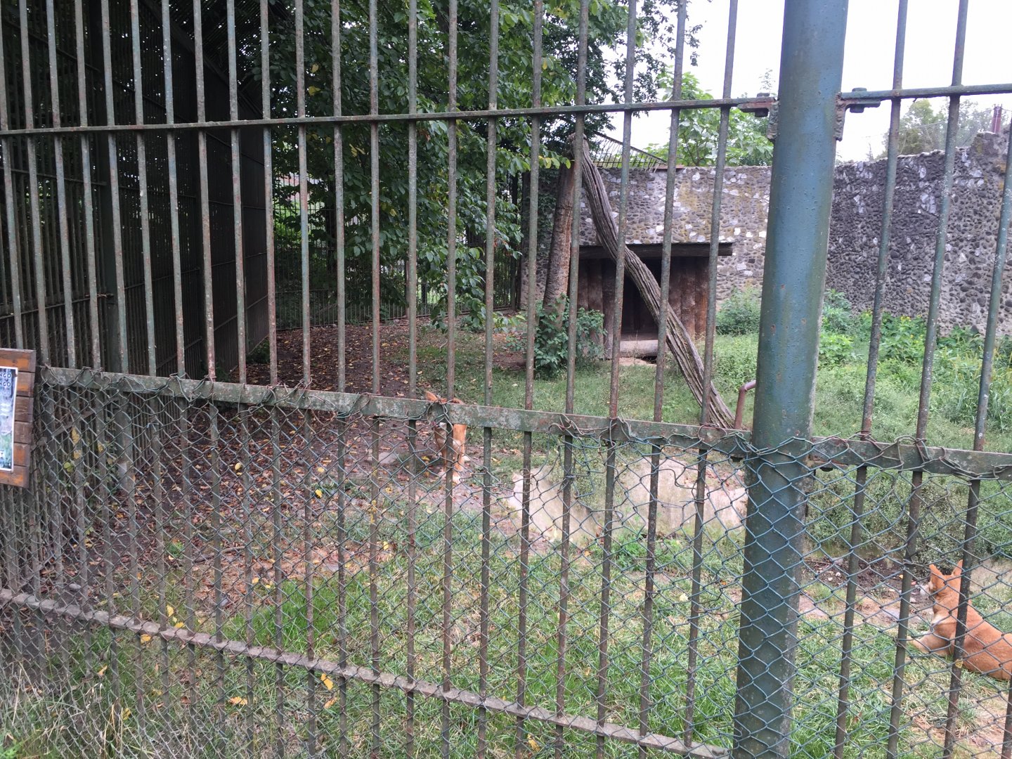 Zoo Târgu-Mures 27.08.2021.