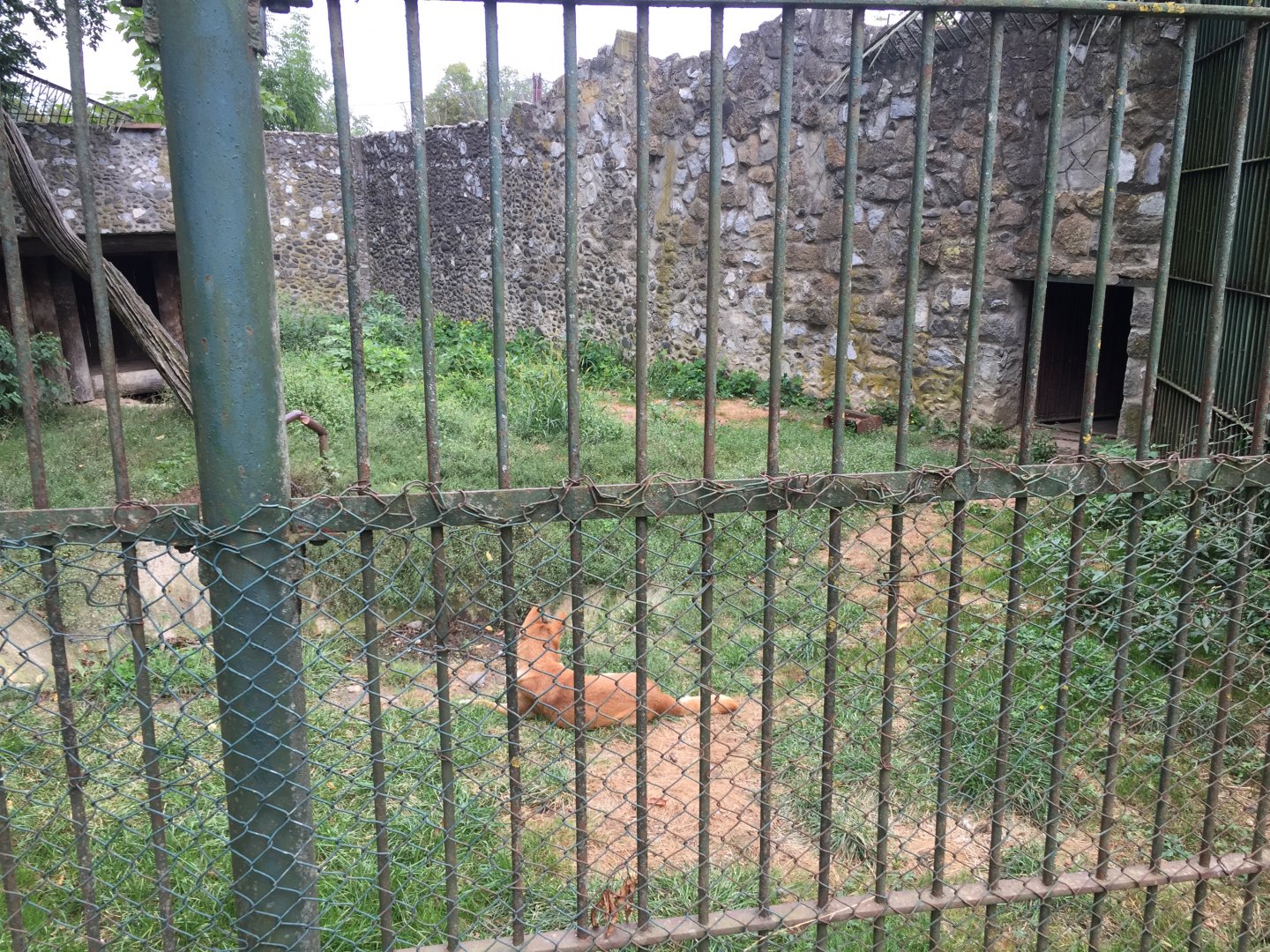 Zoo Târgu-Mures 27.08.2021.