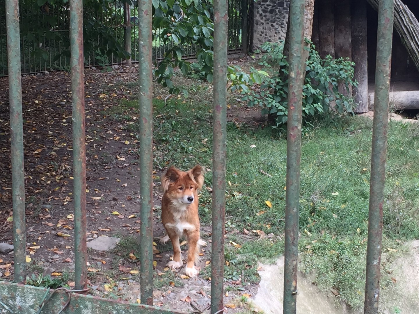 Zoo Târgu-Mures 27.08.2021.