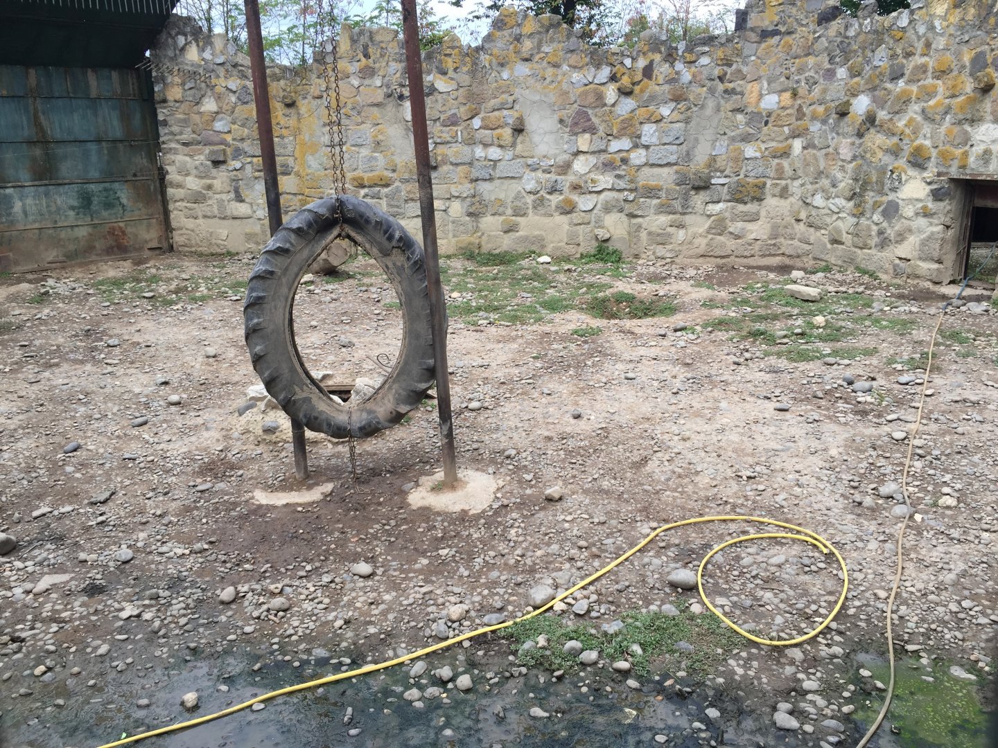 Zoo Târgu-Mures 27.08.2021.